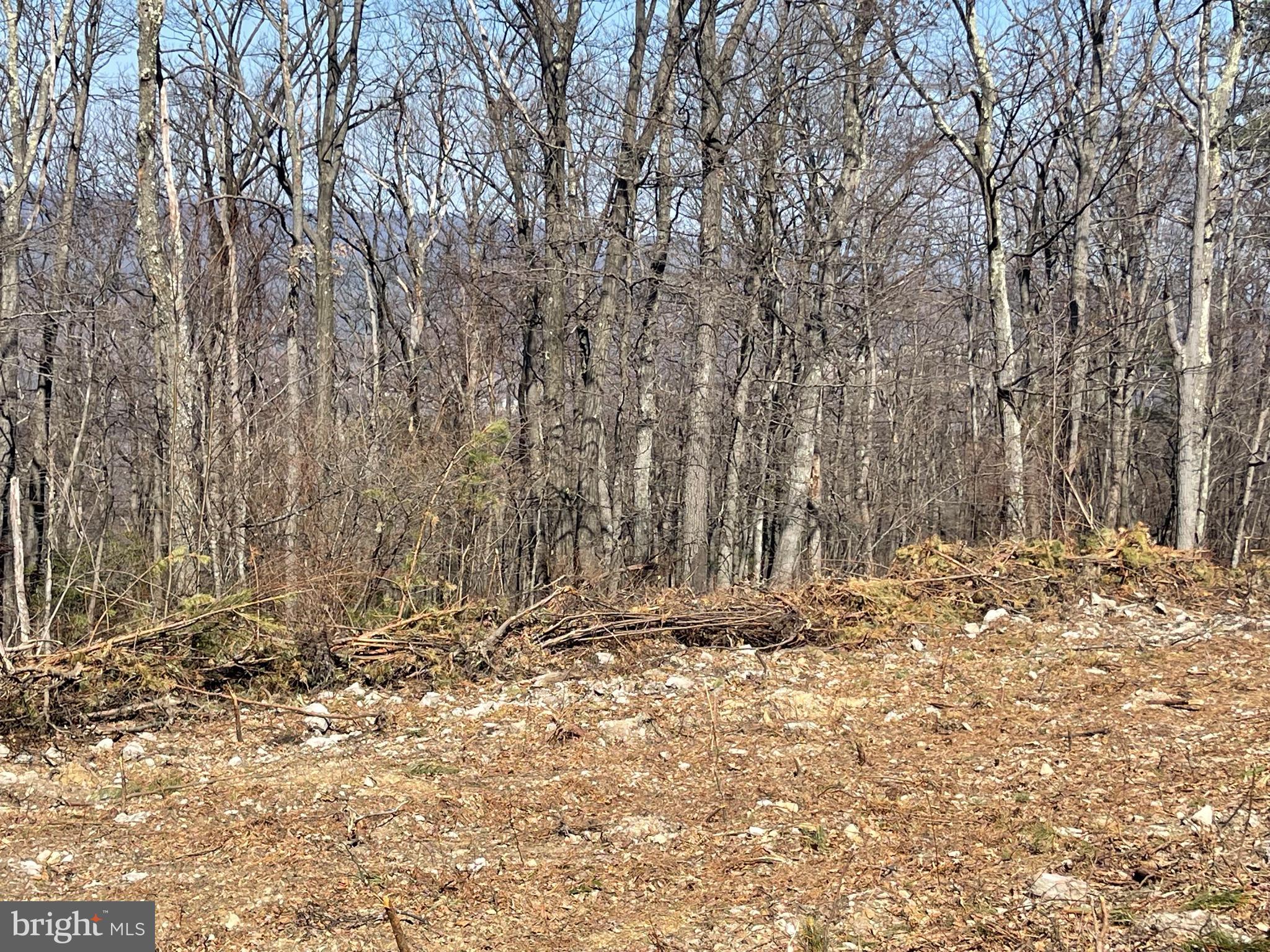 CACAPON MOUNTAIN RECREATIONAL AREA - Land