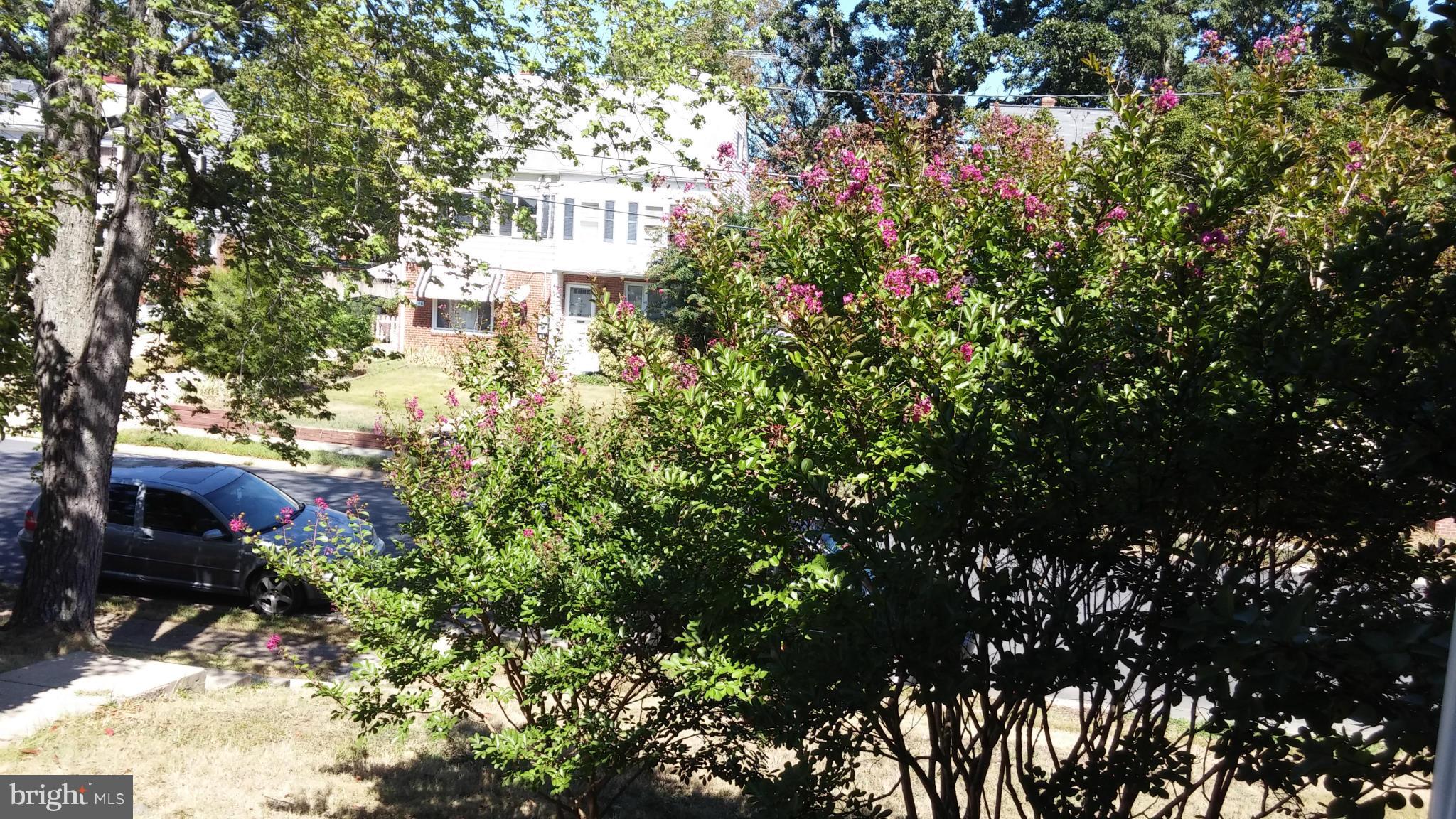 BUCKNELL MANOR - Residential