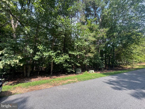 Vacant Land For Sale - 318 Bay Hill Rd<br/> GORDONSVILLE, VA 22942