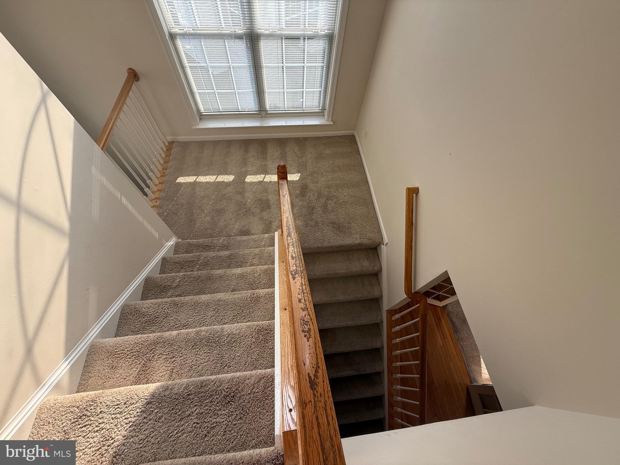 OAK MILL - Residential Lease