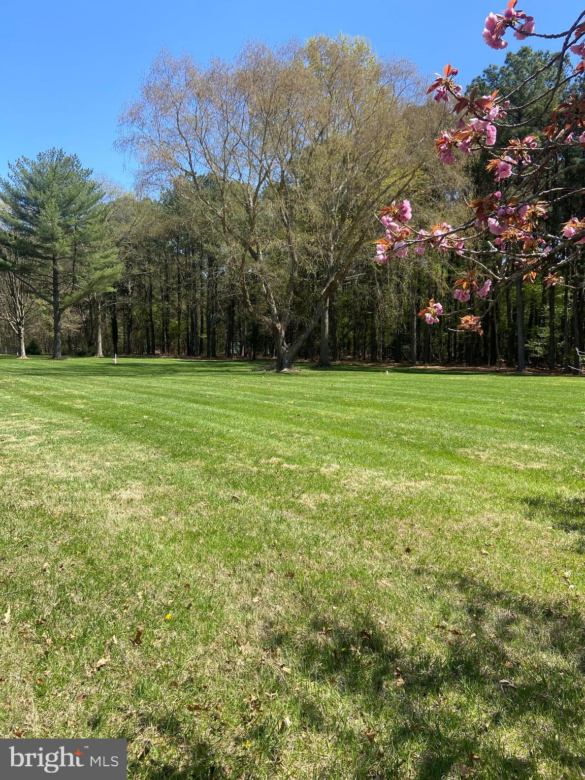 TRAVELERS REST - Residential