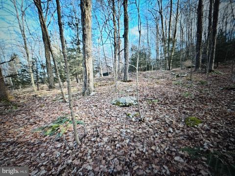 Vacant Land For Sale - 05 Outlet Rd<br/> HARVEYS LAKE, PA 18618