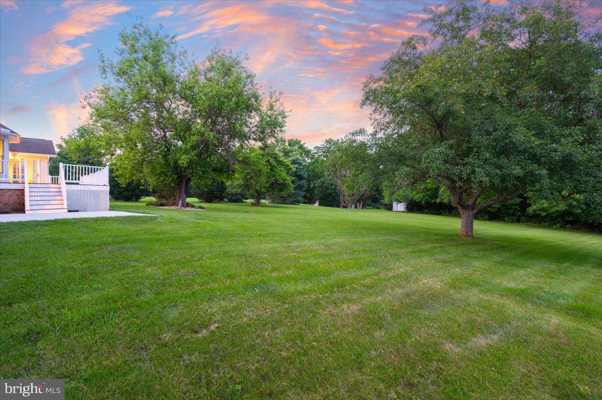 SPRINGVIEW - Residential