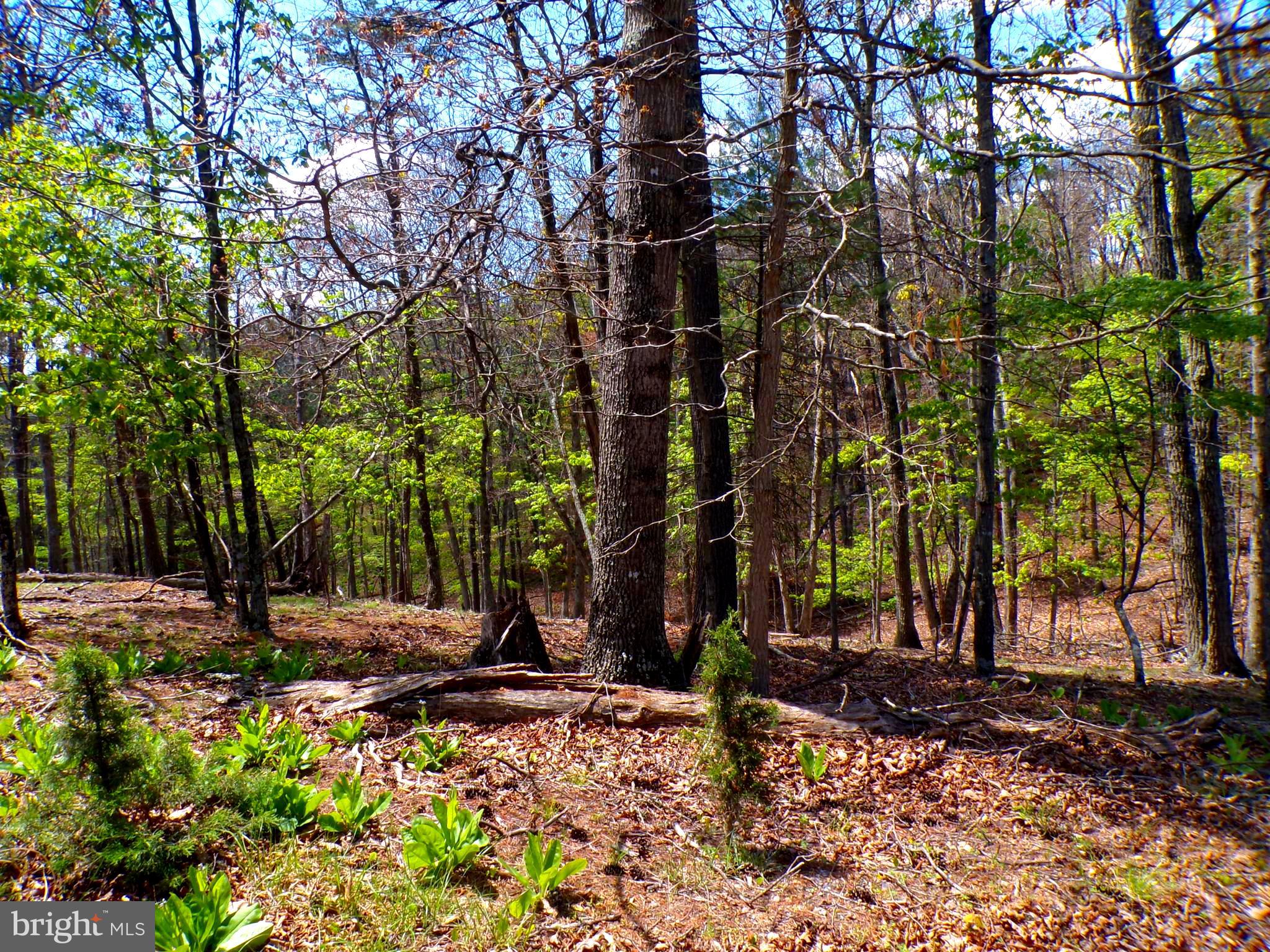 THE CROSSING AT GREAT CACAPON - Land