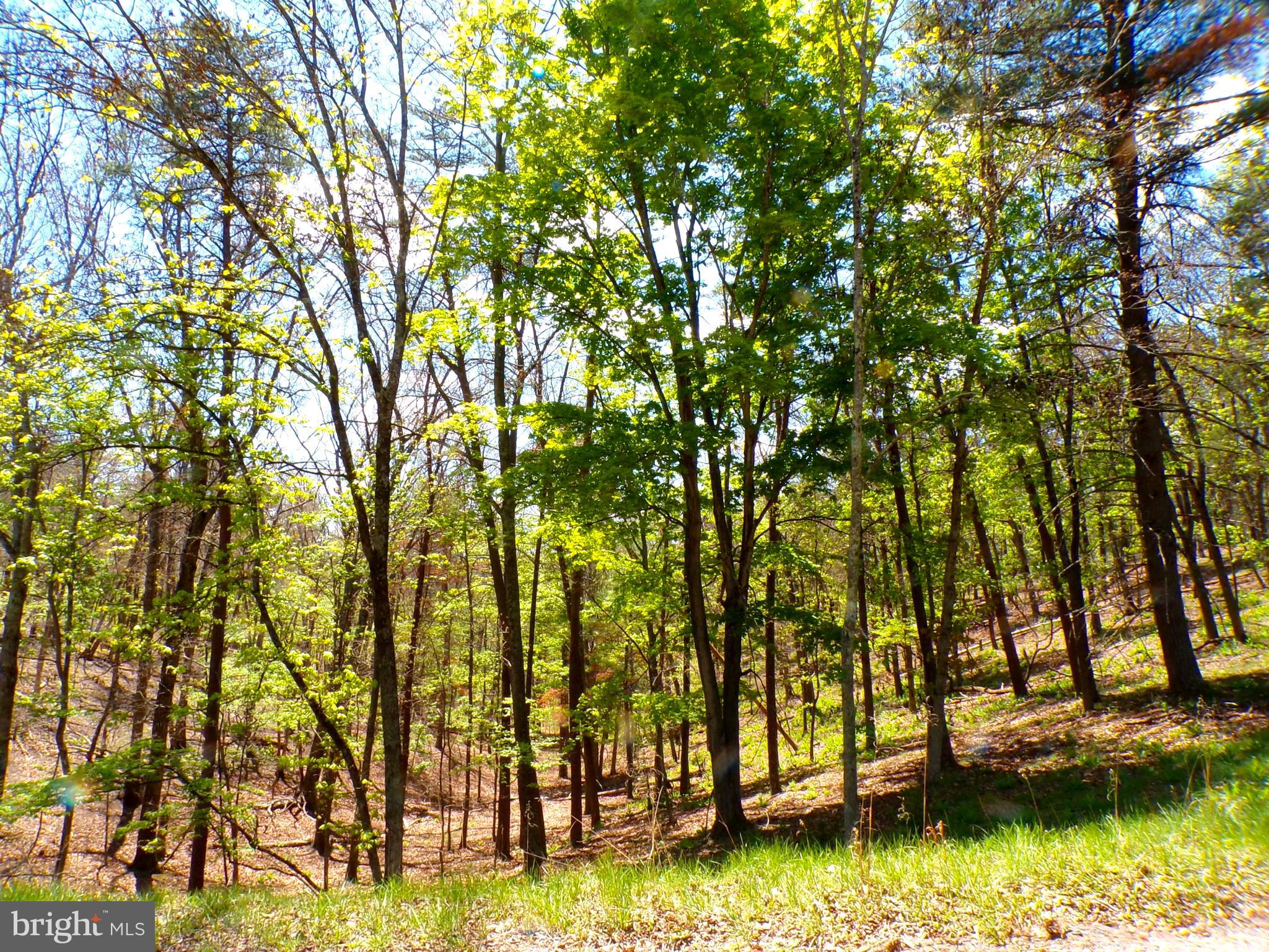 THE CROSSING AT GREAT CACAPON - Land