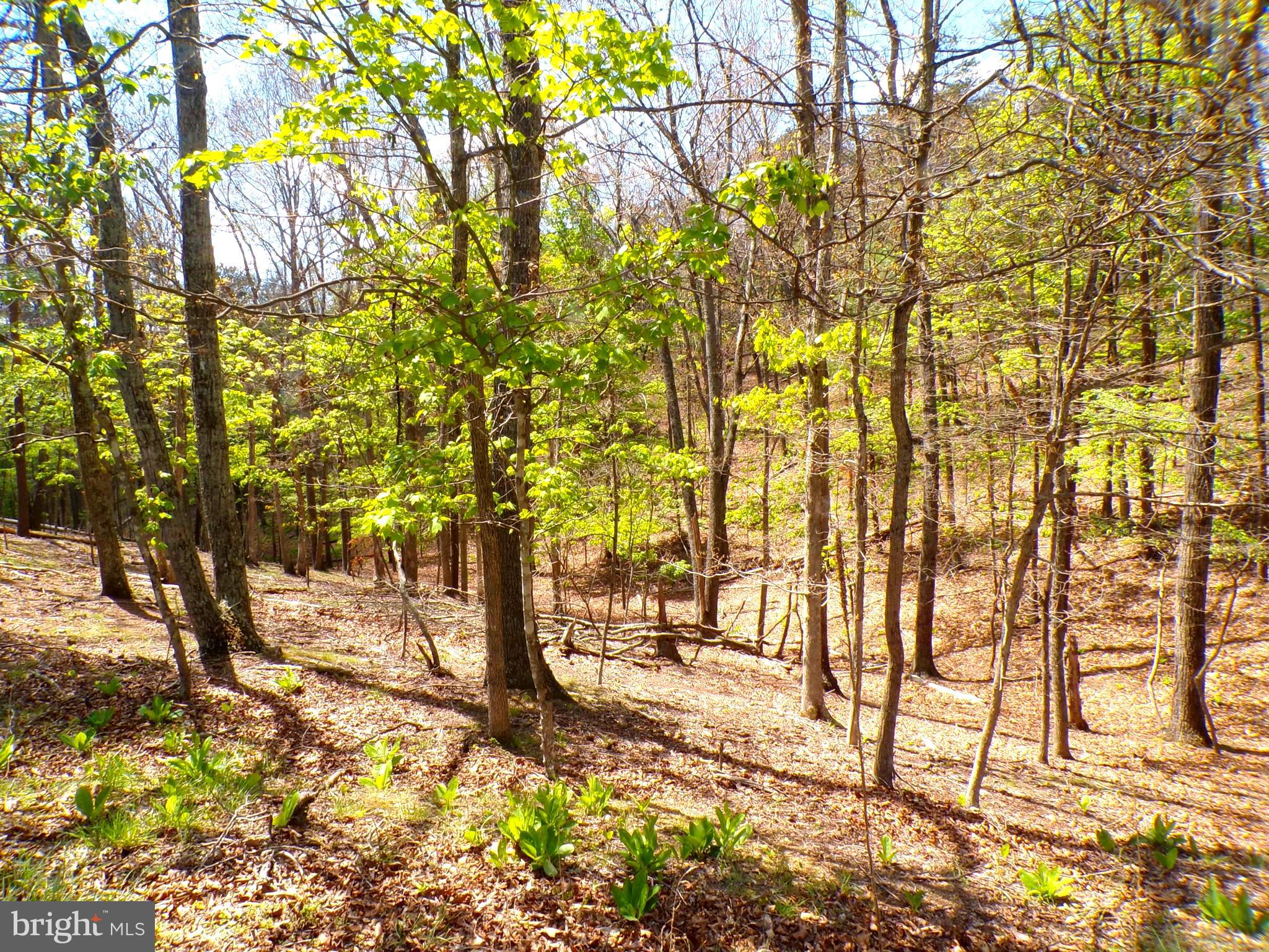 THE CROSSING AT GREAT CACAPON - Land