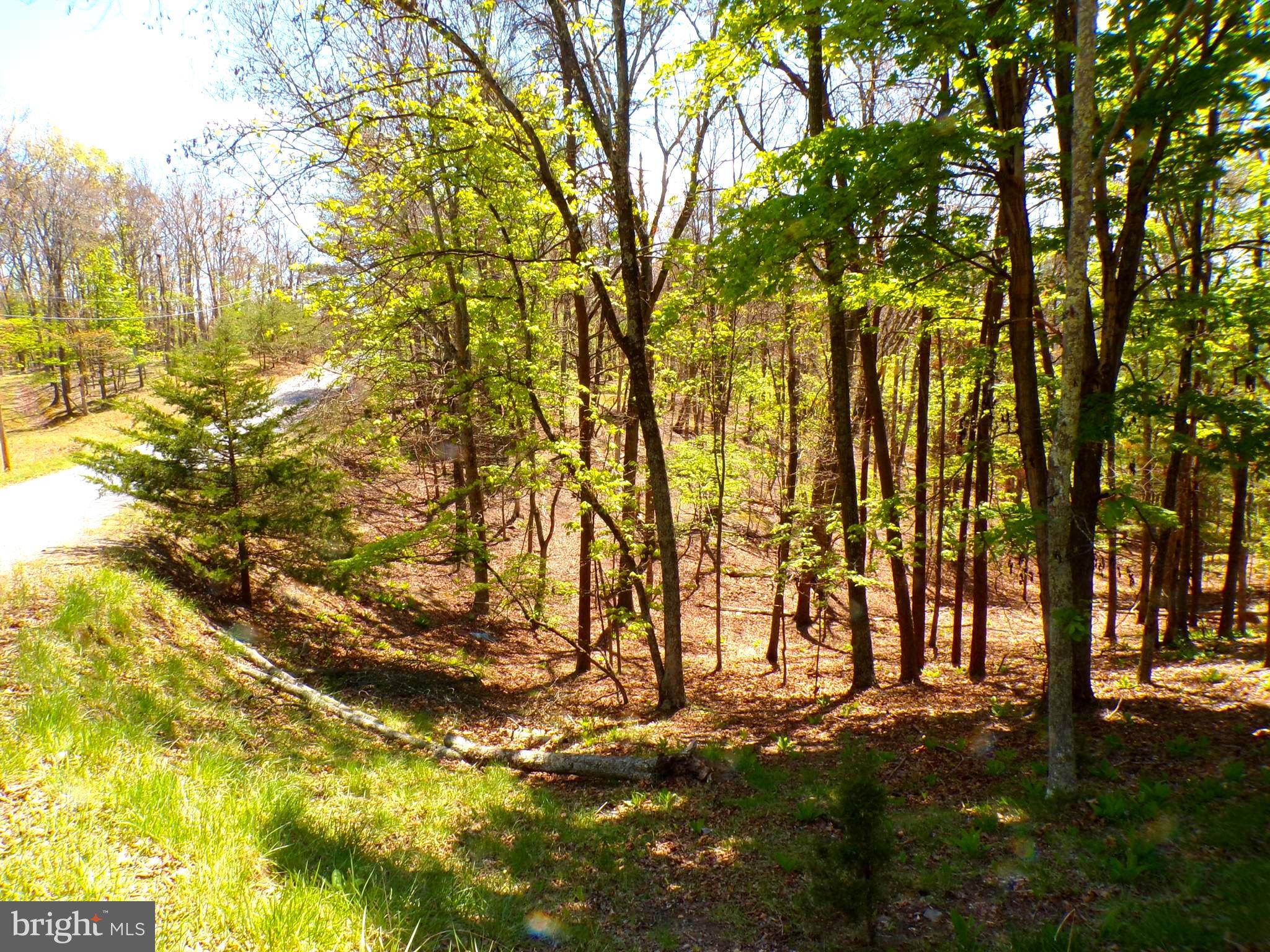 THE CROSSING AT GREAT CACAPON - Land