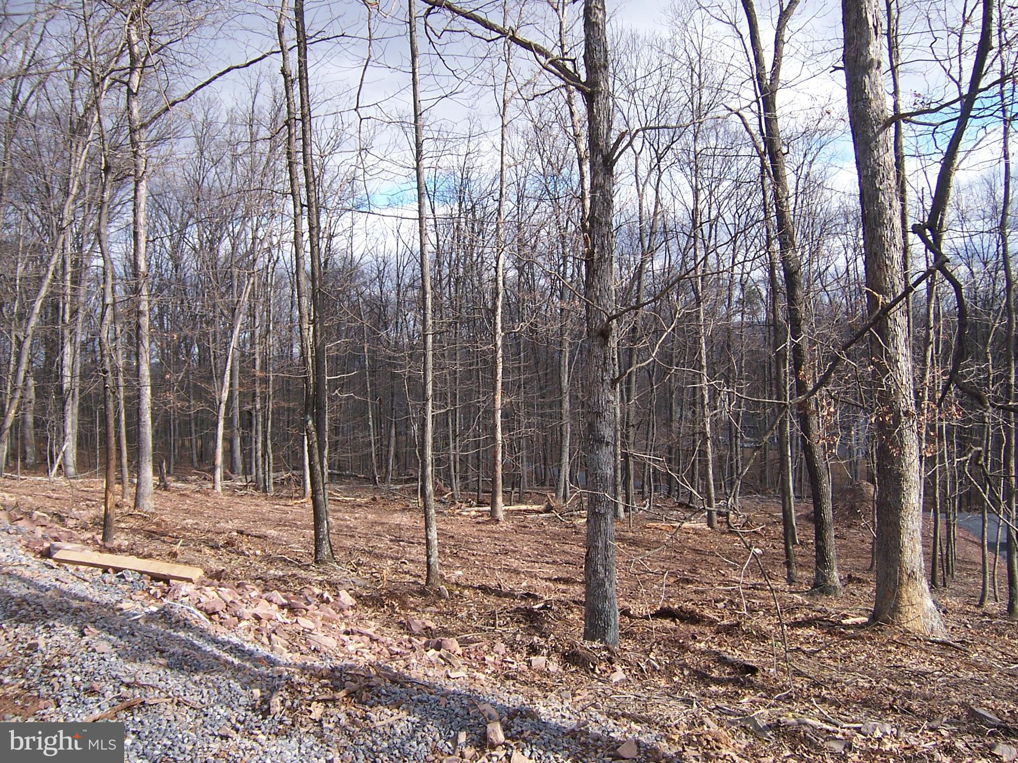 AVALON - Residential