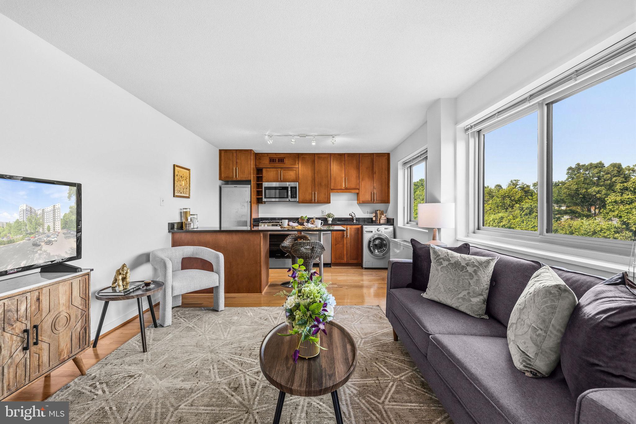 TAKOMA PARK - Residential