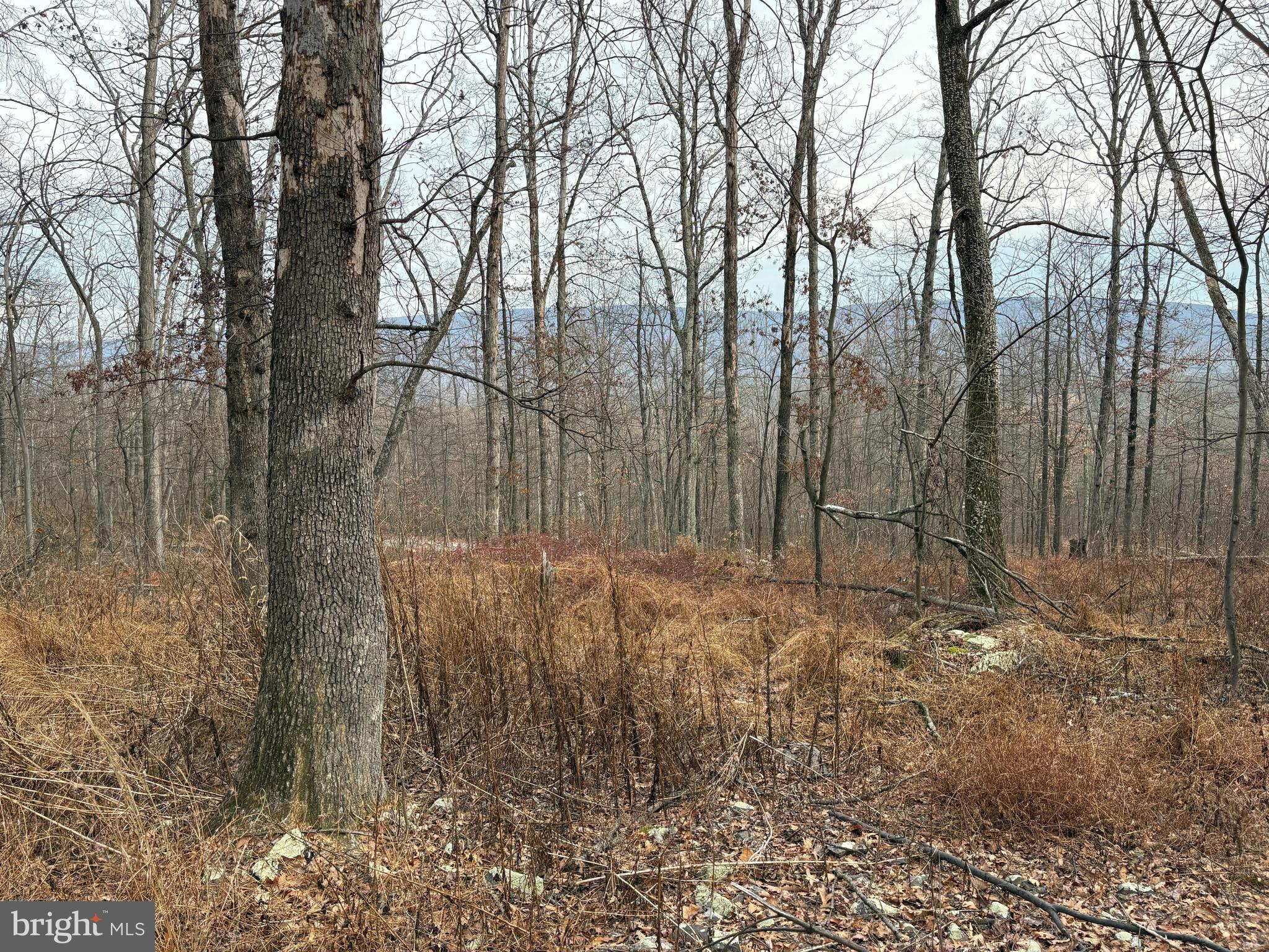 EAGLE MOUNTAIN - Land