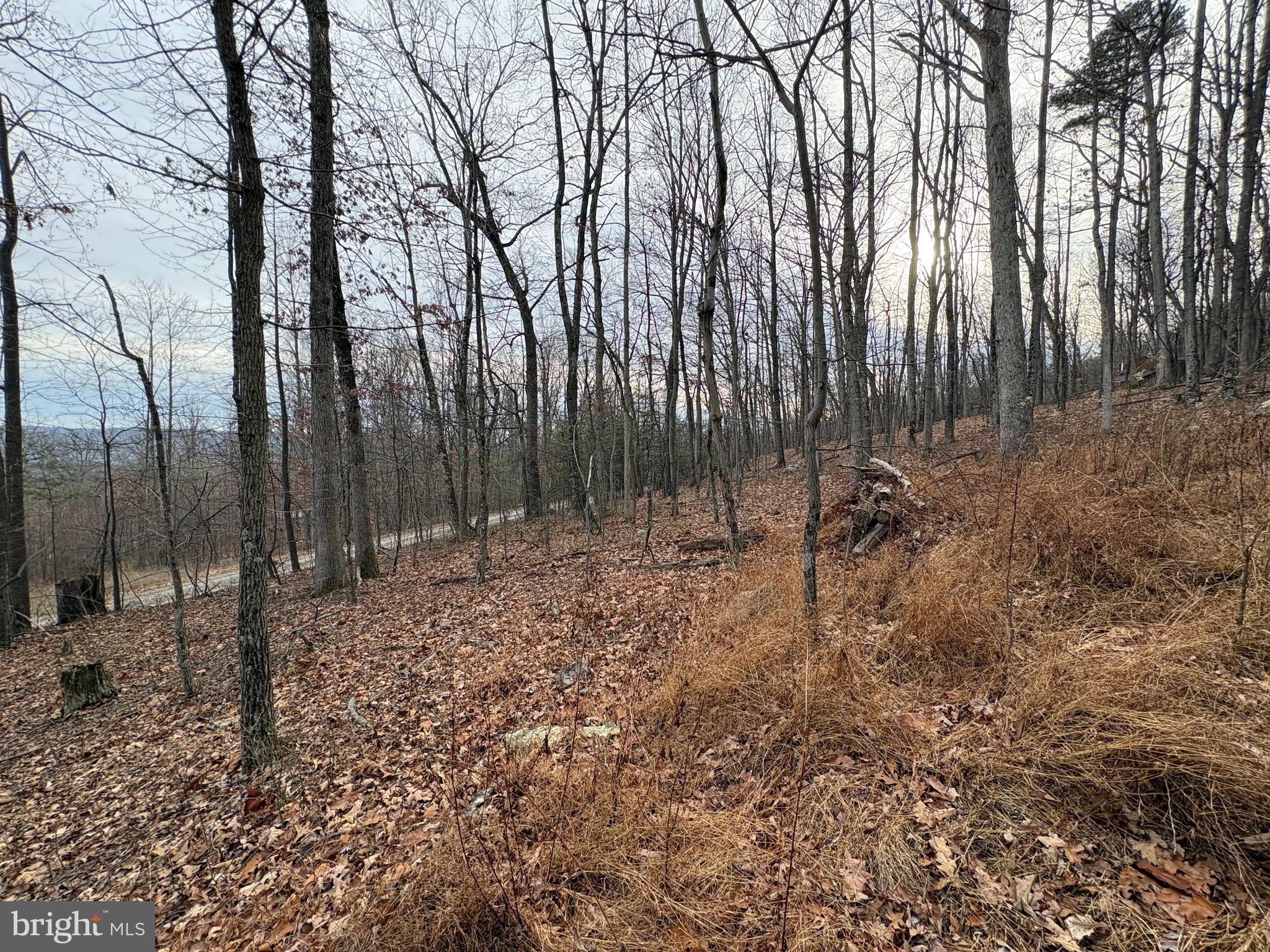 EAGLE MOUNTAIN - Land