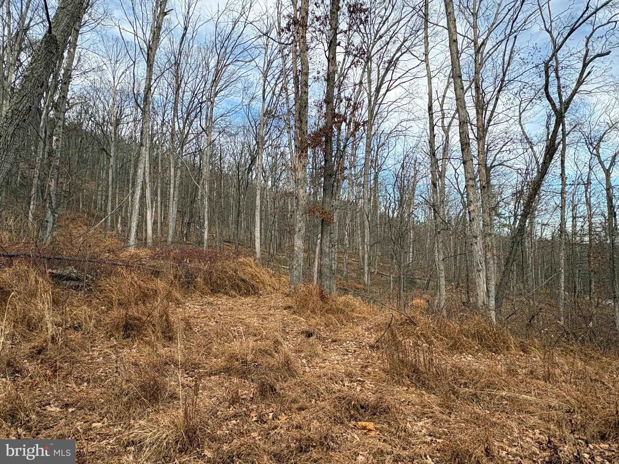 EAGLE MOUNTAIN - Land