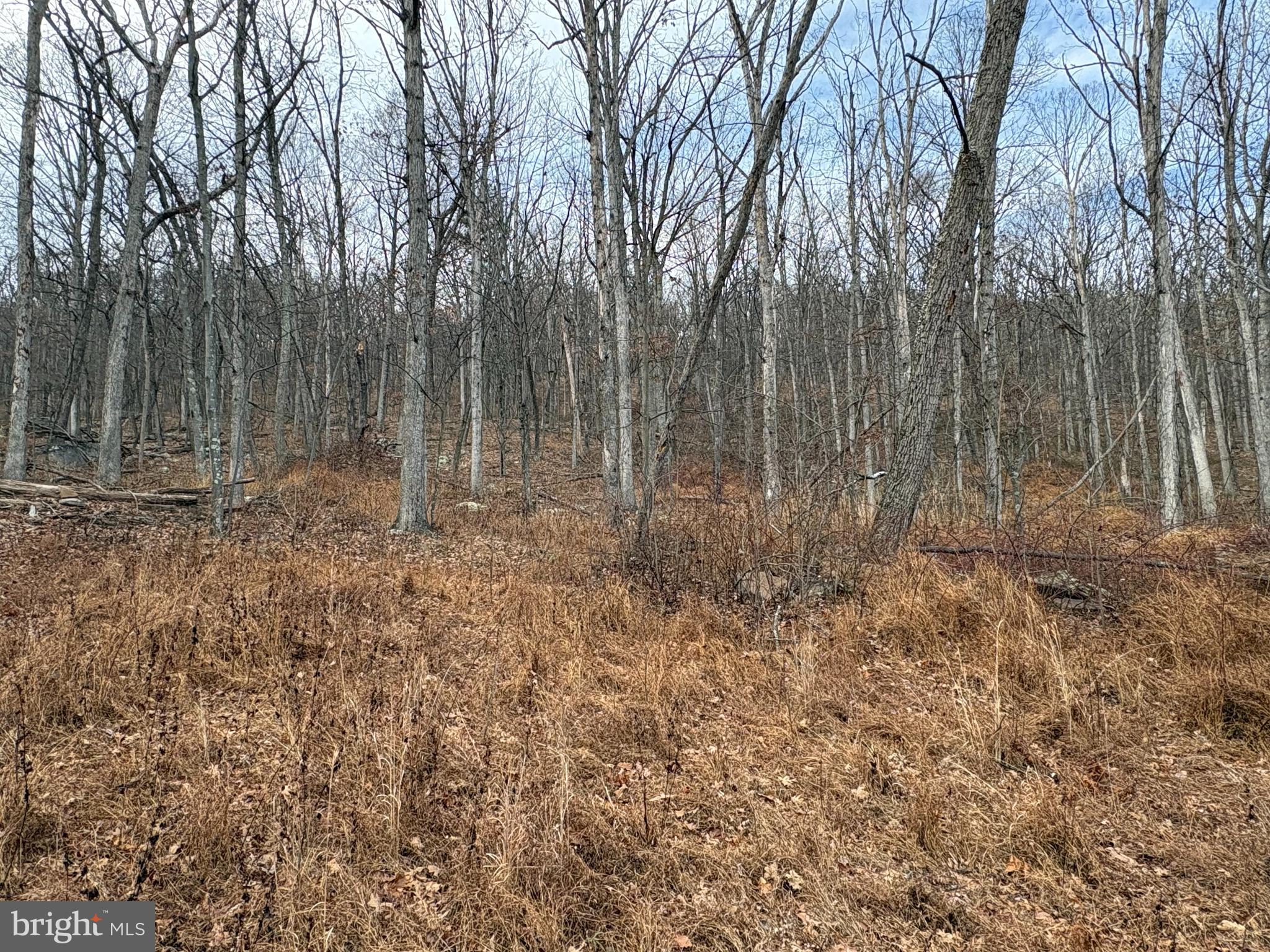 EAGLE MOUNTAIN - Land