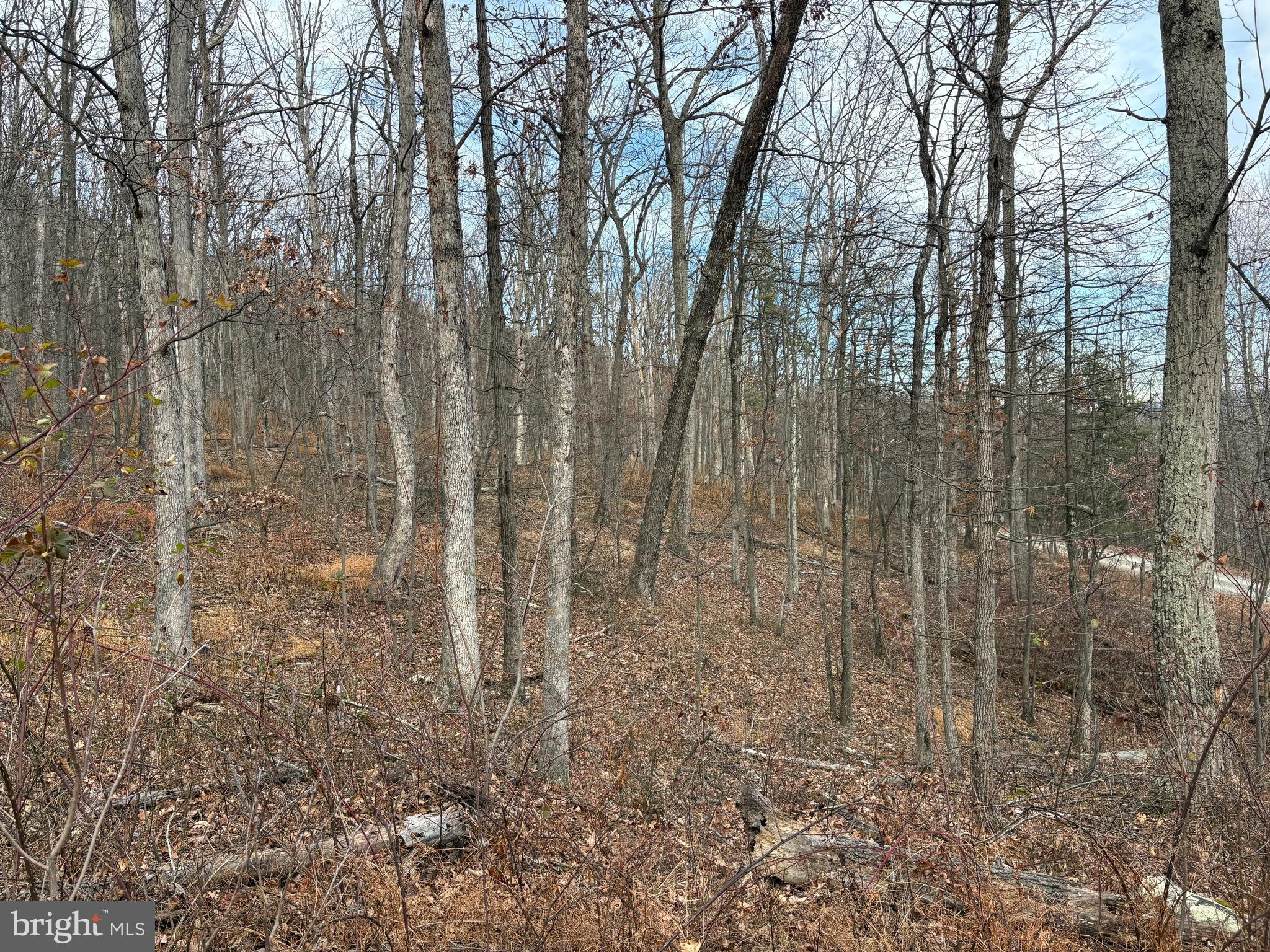 EAGLE MOUNTAIN - Land