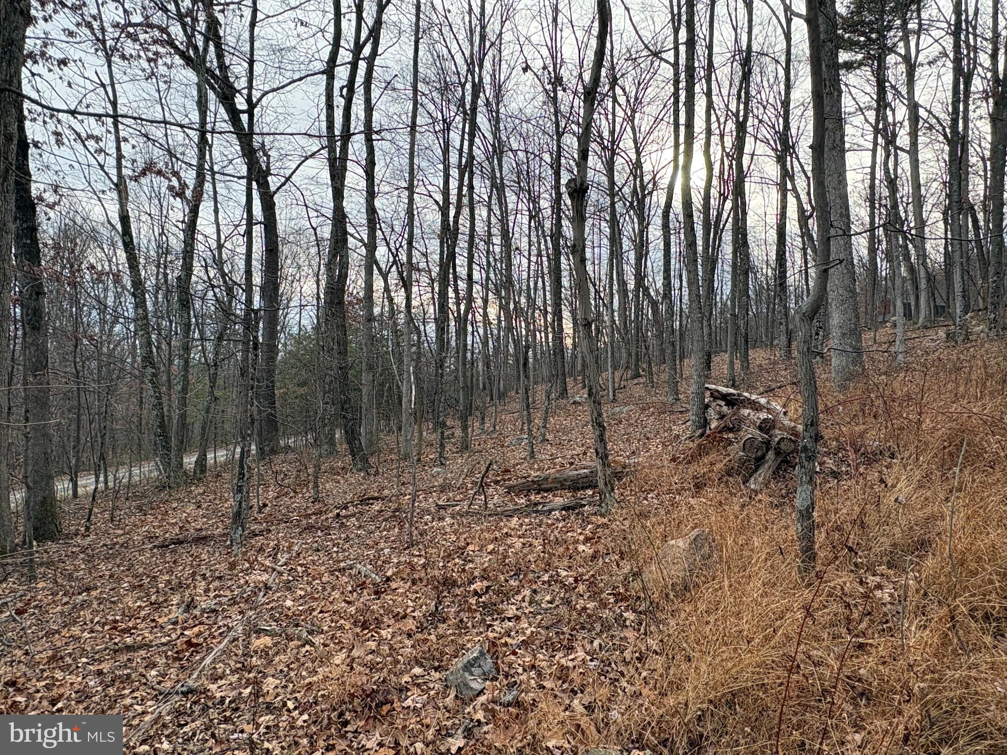 EAGLE MOUNTAIN - Land