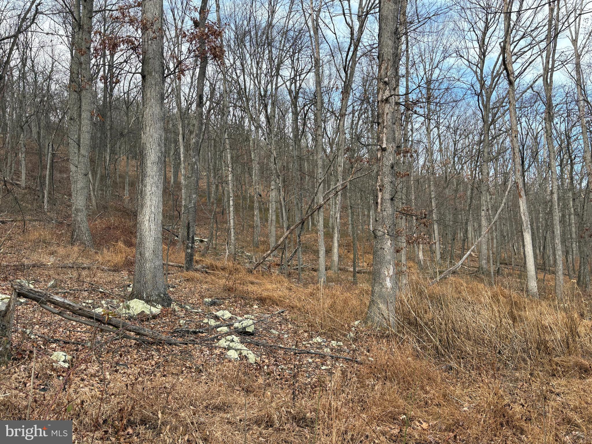 EAGLE MOUNTAIN - Land