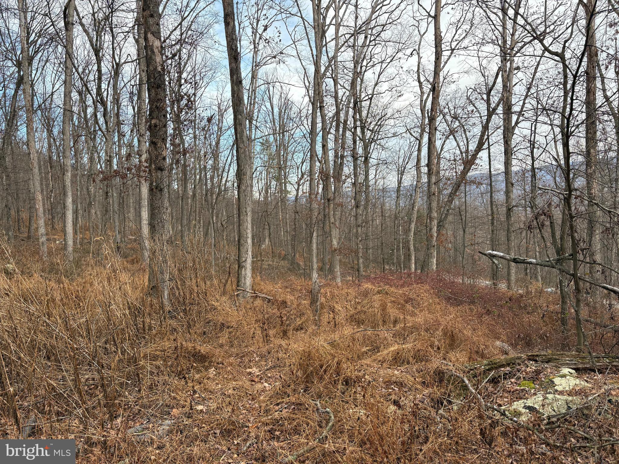 EAGLE MOUNTAIN - Land