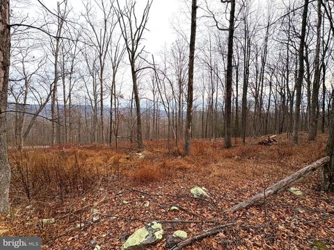 Vacant Land For Sale - 10.03 AC Dove Drive<br/> PAW PAW, WV 25434