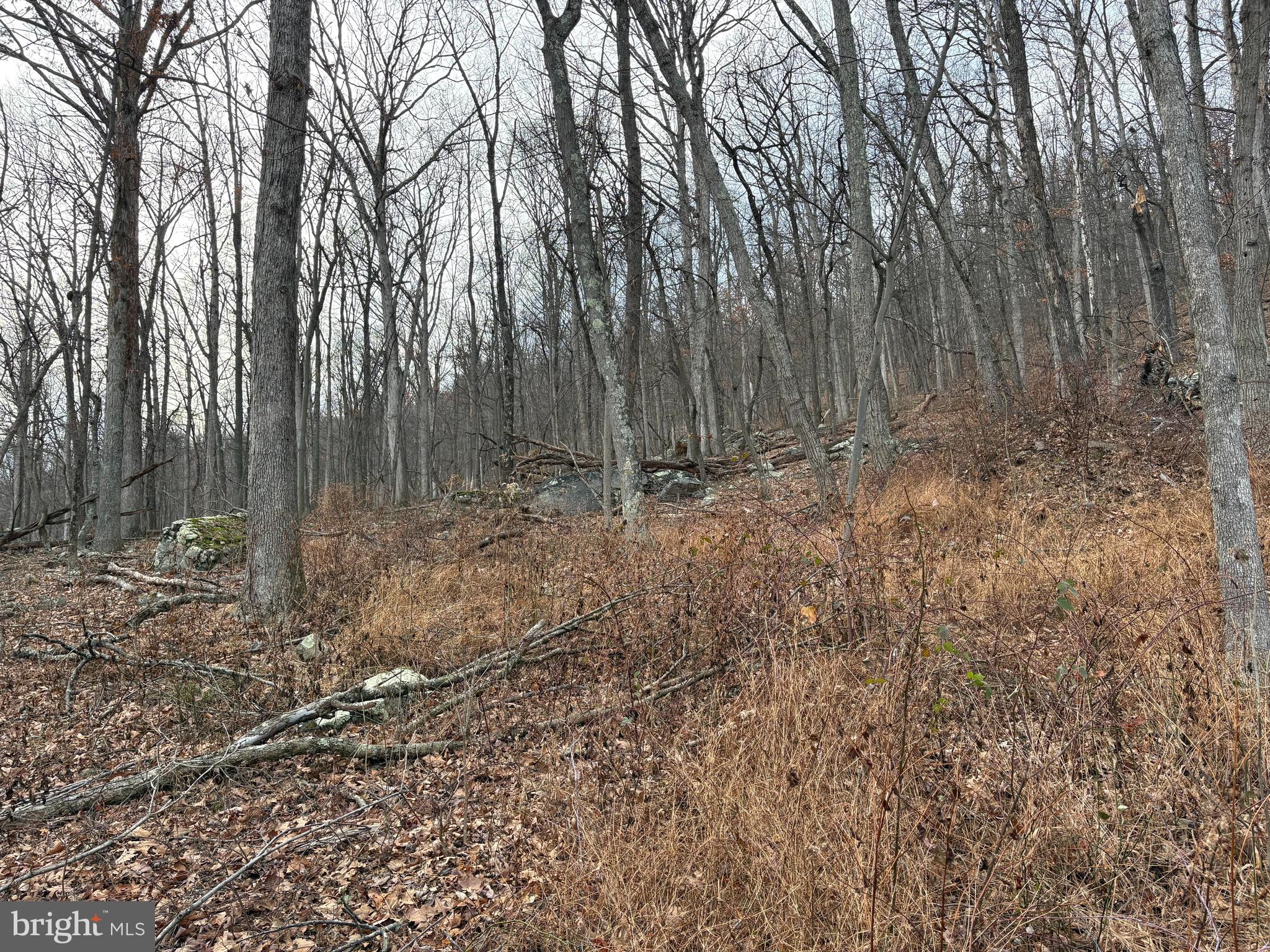 EAGLE MOUNTAIN - Land