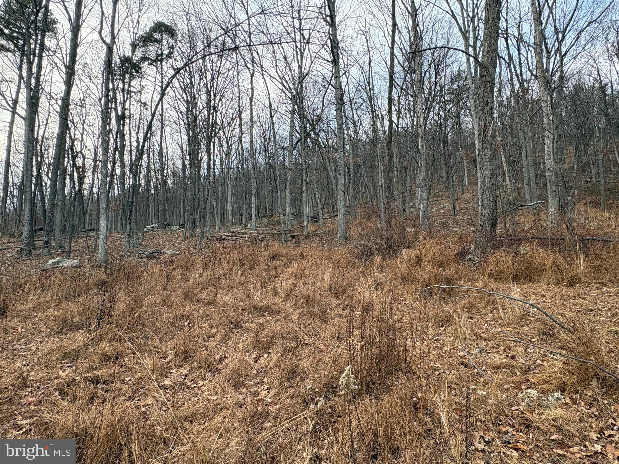 EAGLE MOUNTAIN - Land