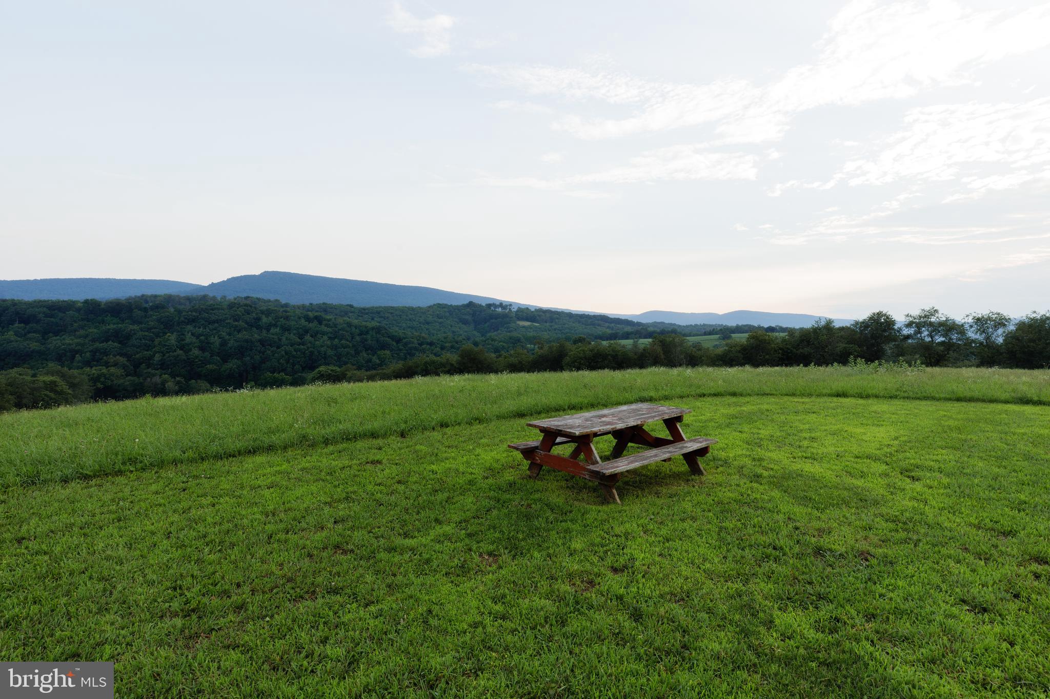 20 ACRE WOODS - Commercial Sale