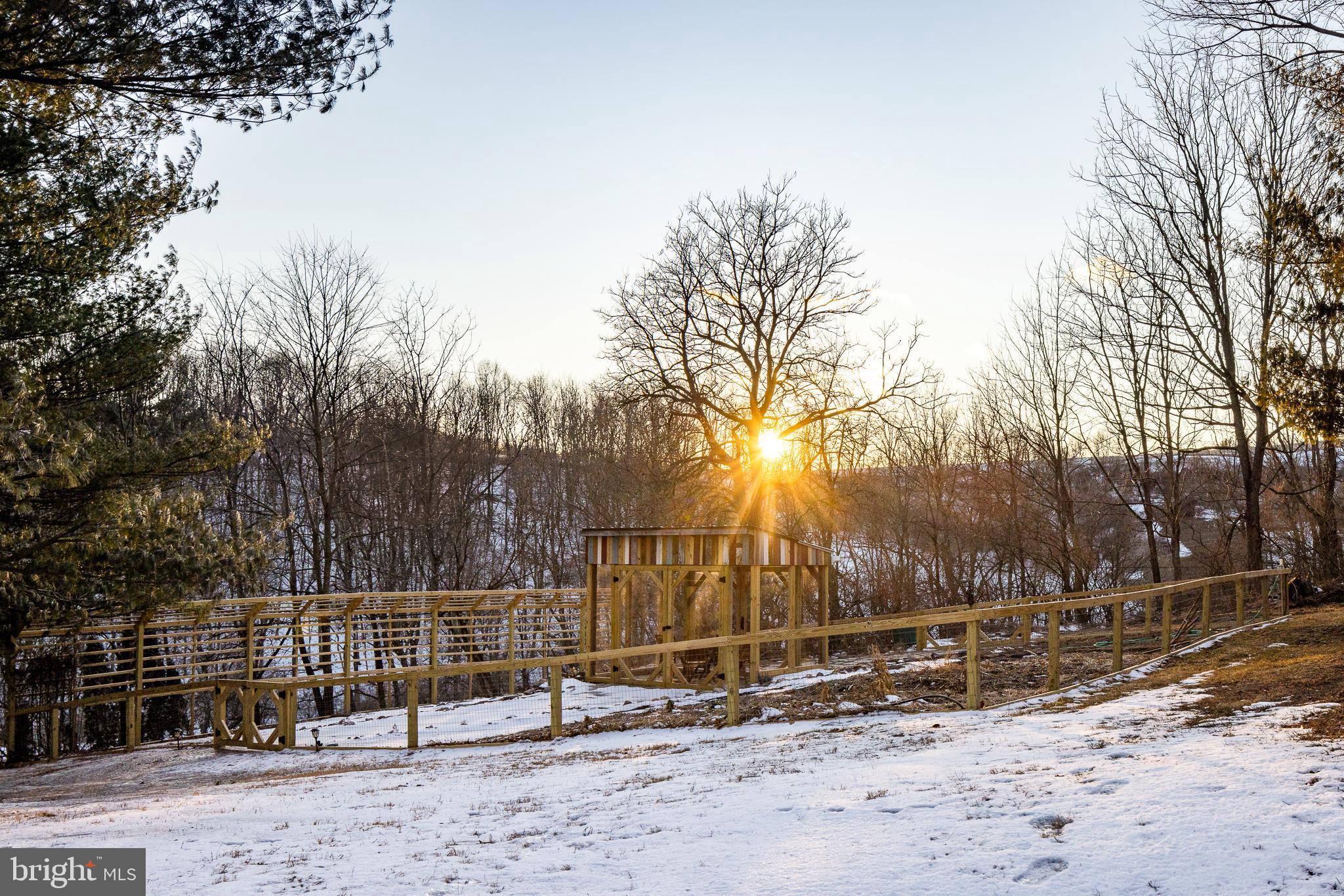 20 ACRE WOODS - Commercial Sale