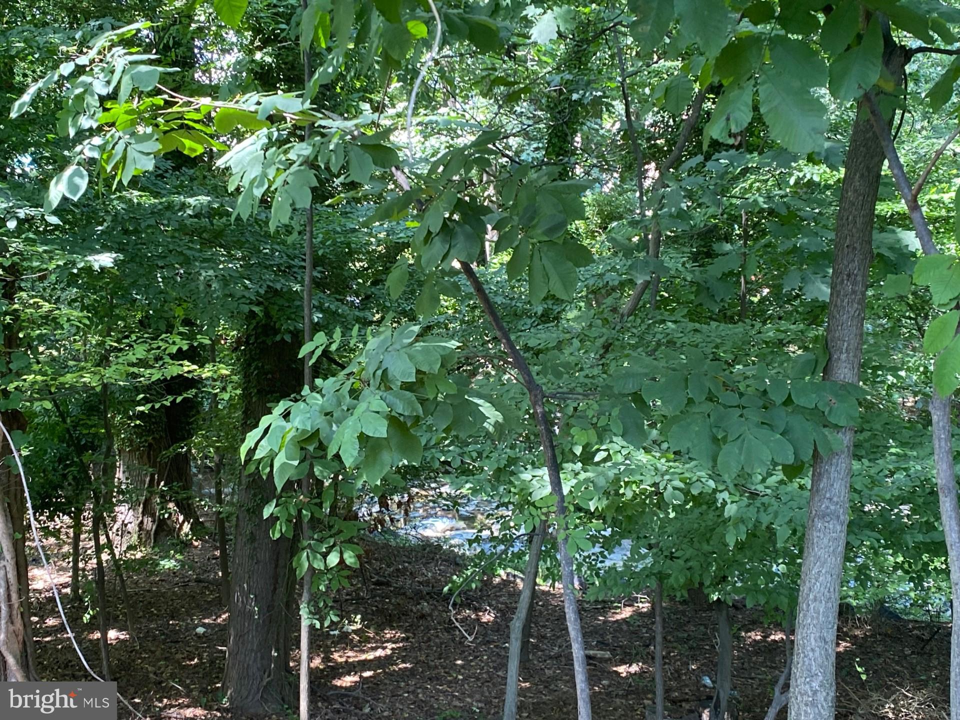 CHILLUM - Residential