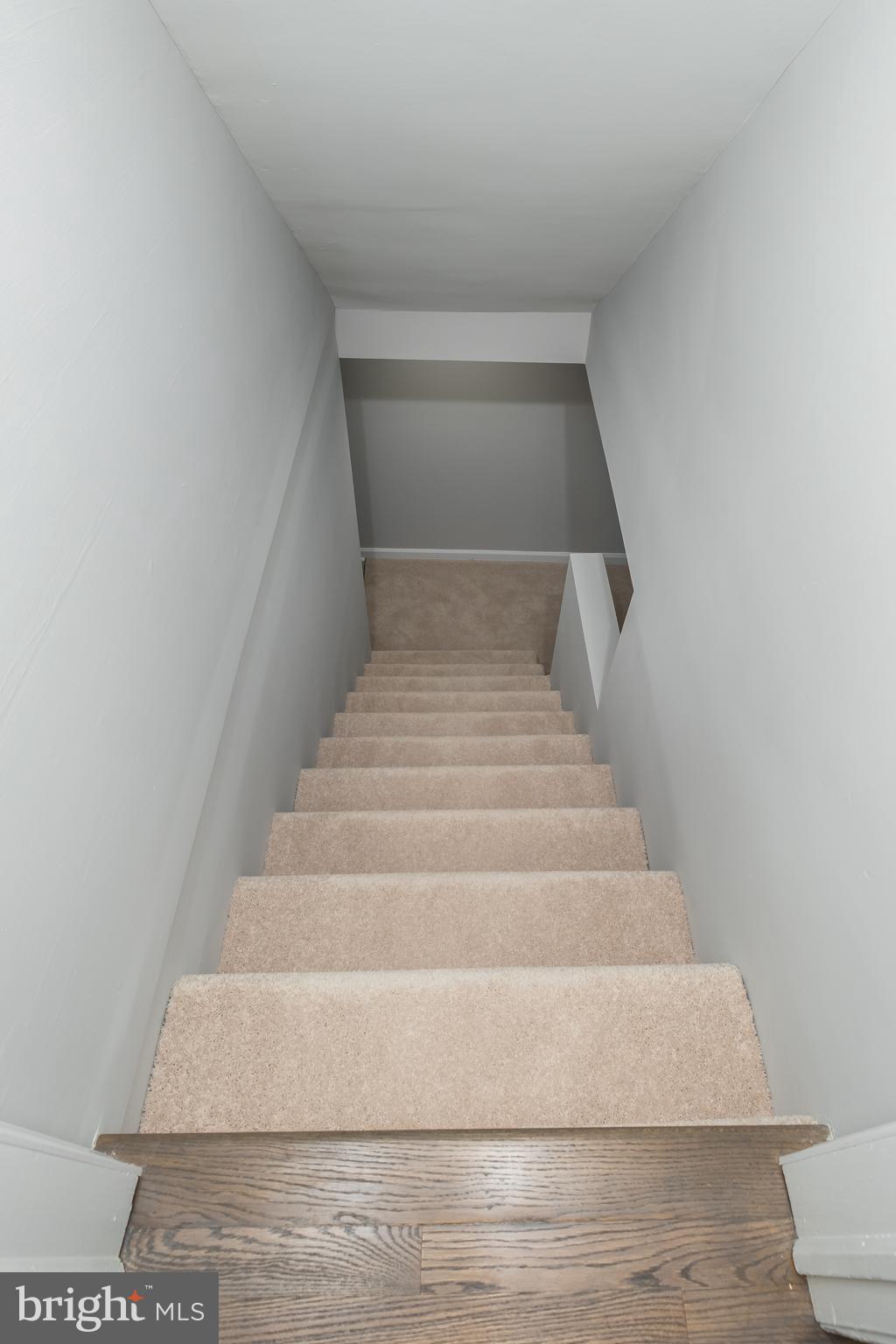 NORTH FORESTVILLE - Residential