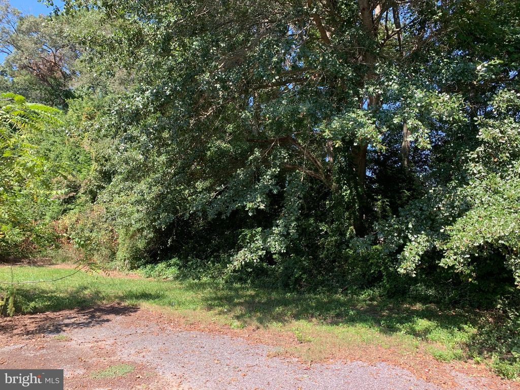 Photo of 23661 Godwin School Road, MILLSBORO, DE 19966 (MLS # DESU2096548)