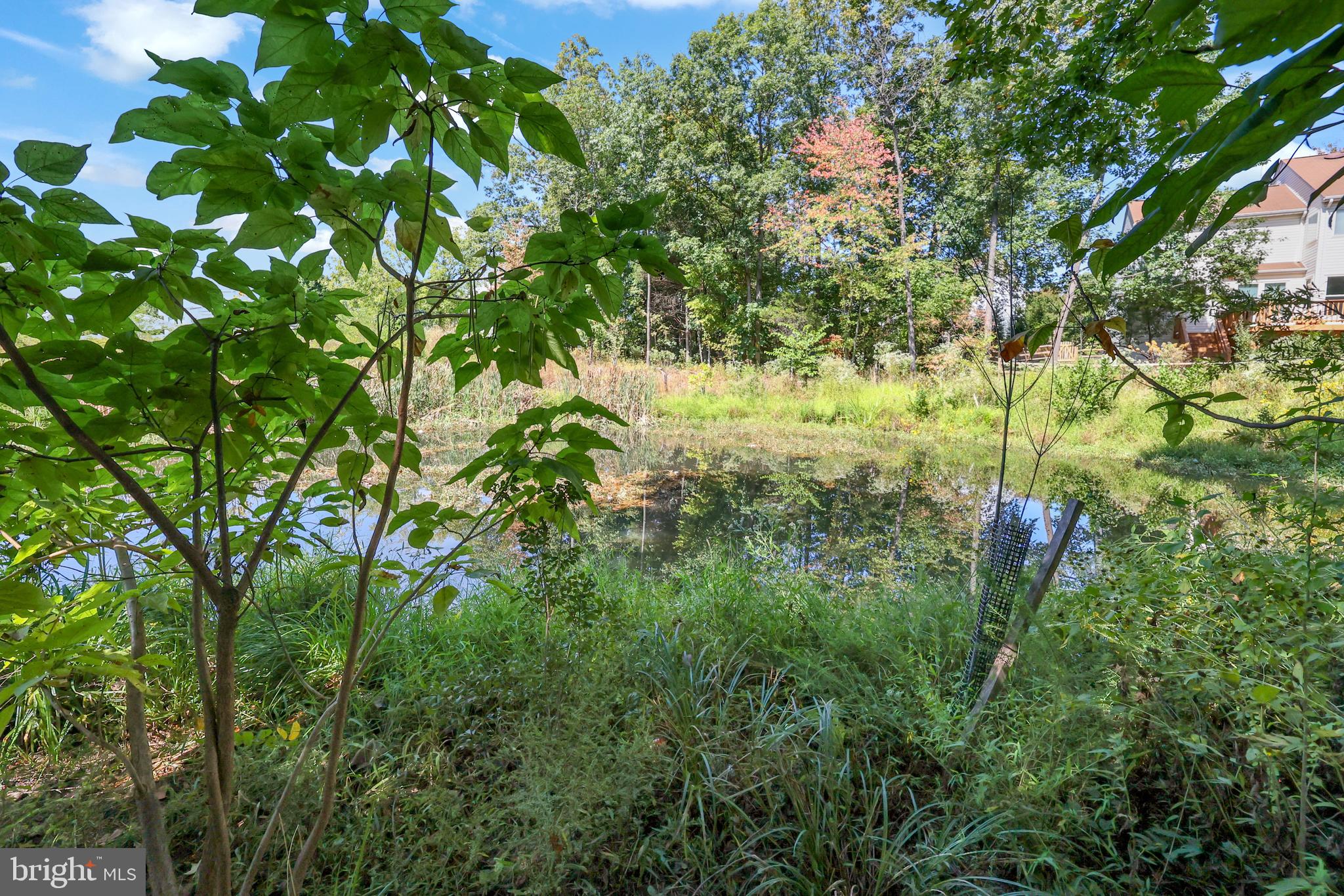CENTRE RIDGE - Residential