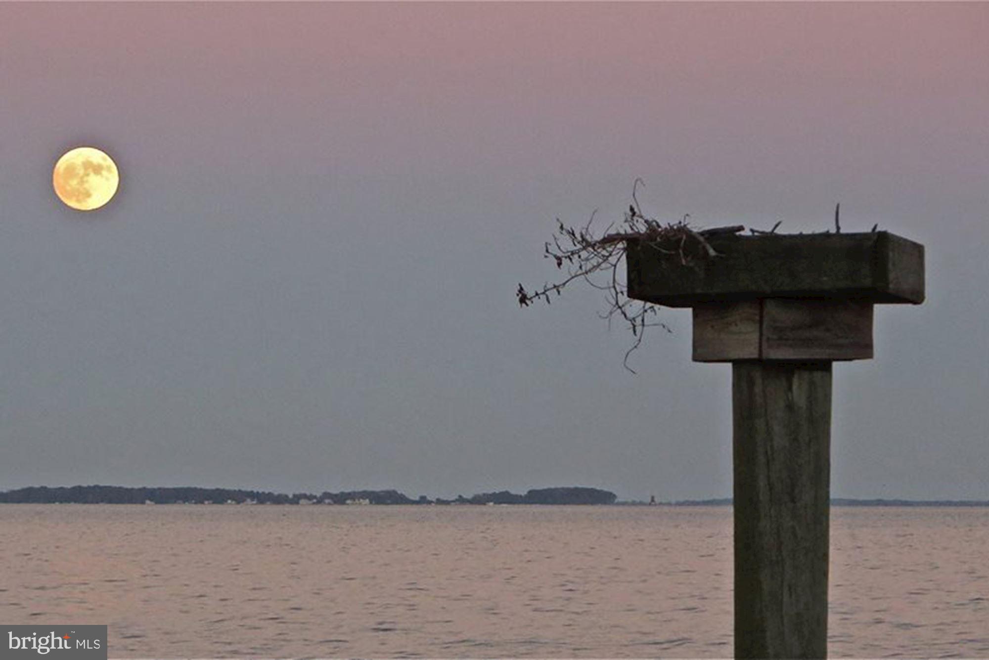 SHADY SIDE - Residential