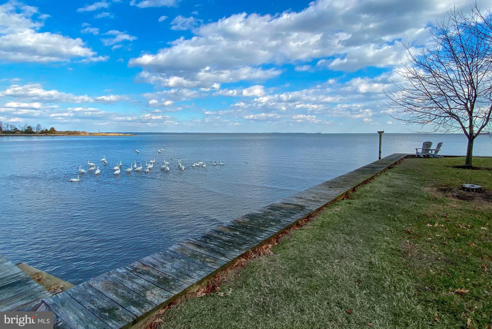 SHADY SIDE - Residential