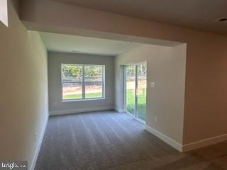 10131 SHENANDOAH LANE