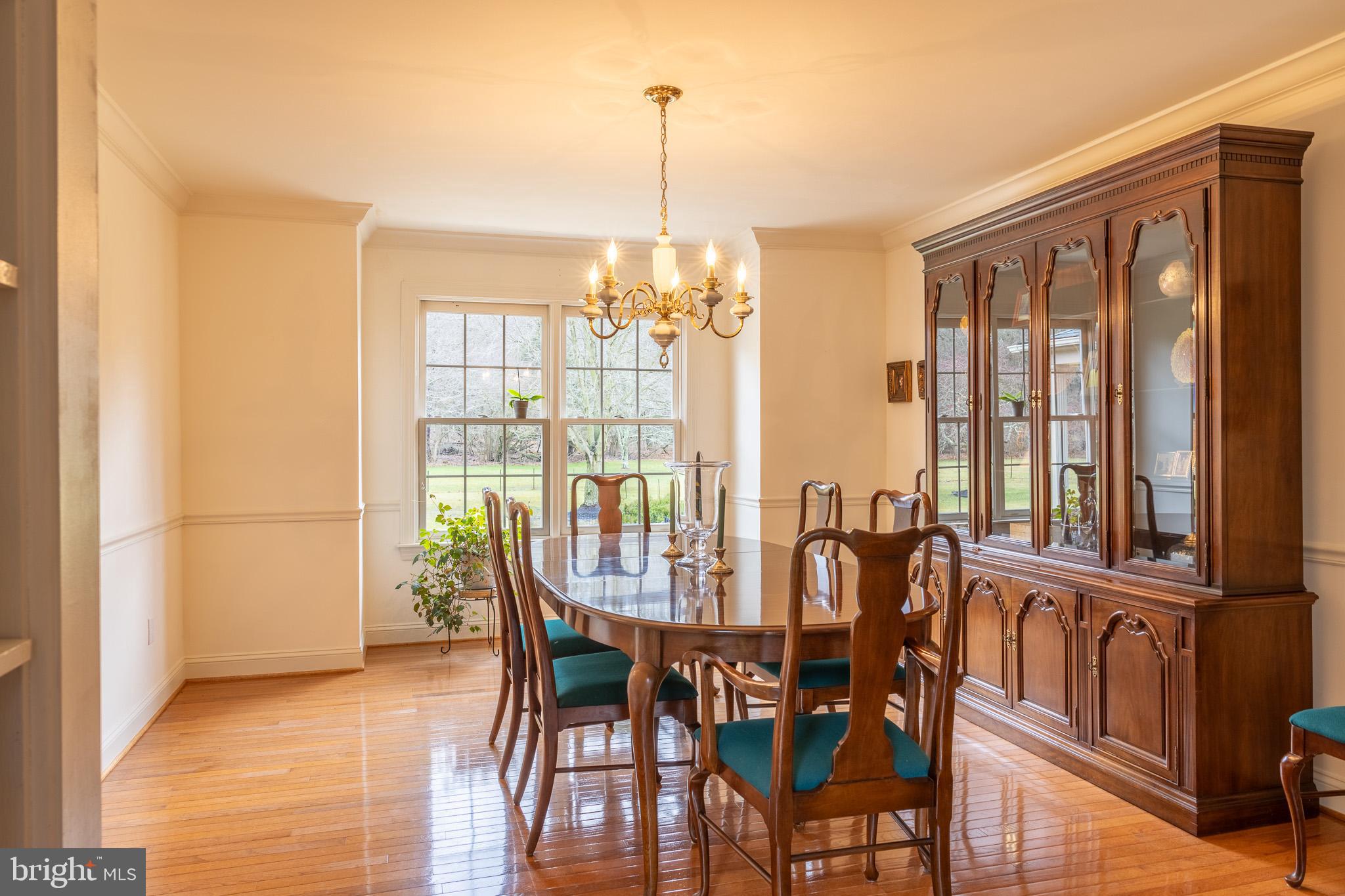 HIDDEN FOREST - Residential