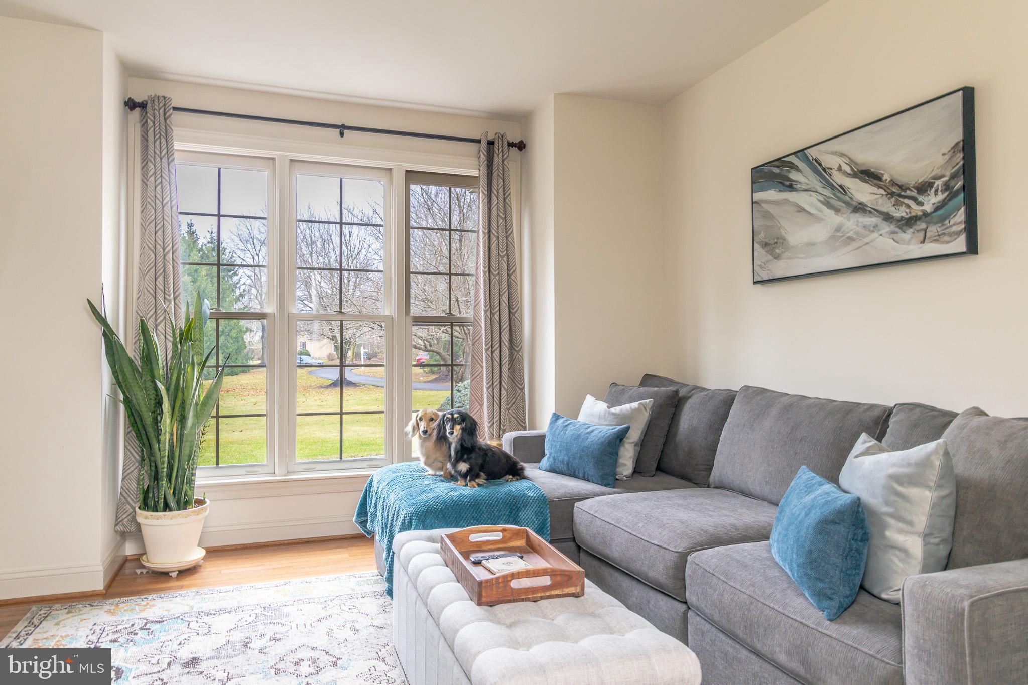 HIDDEN FOREST - Residential