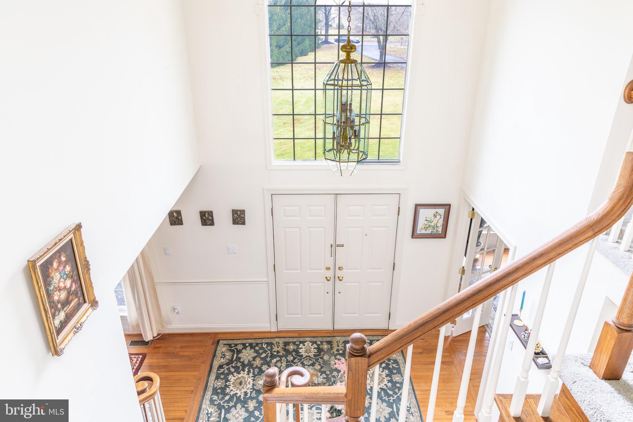 HIDDEN FOREST - Residential