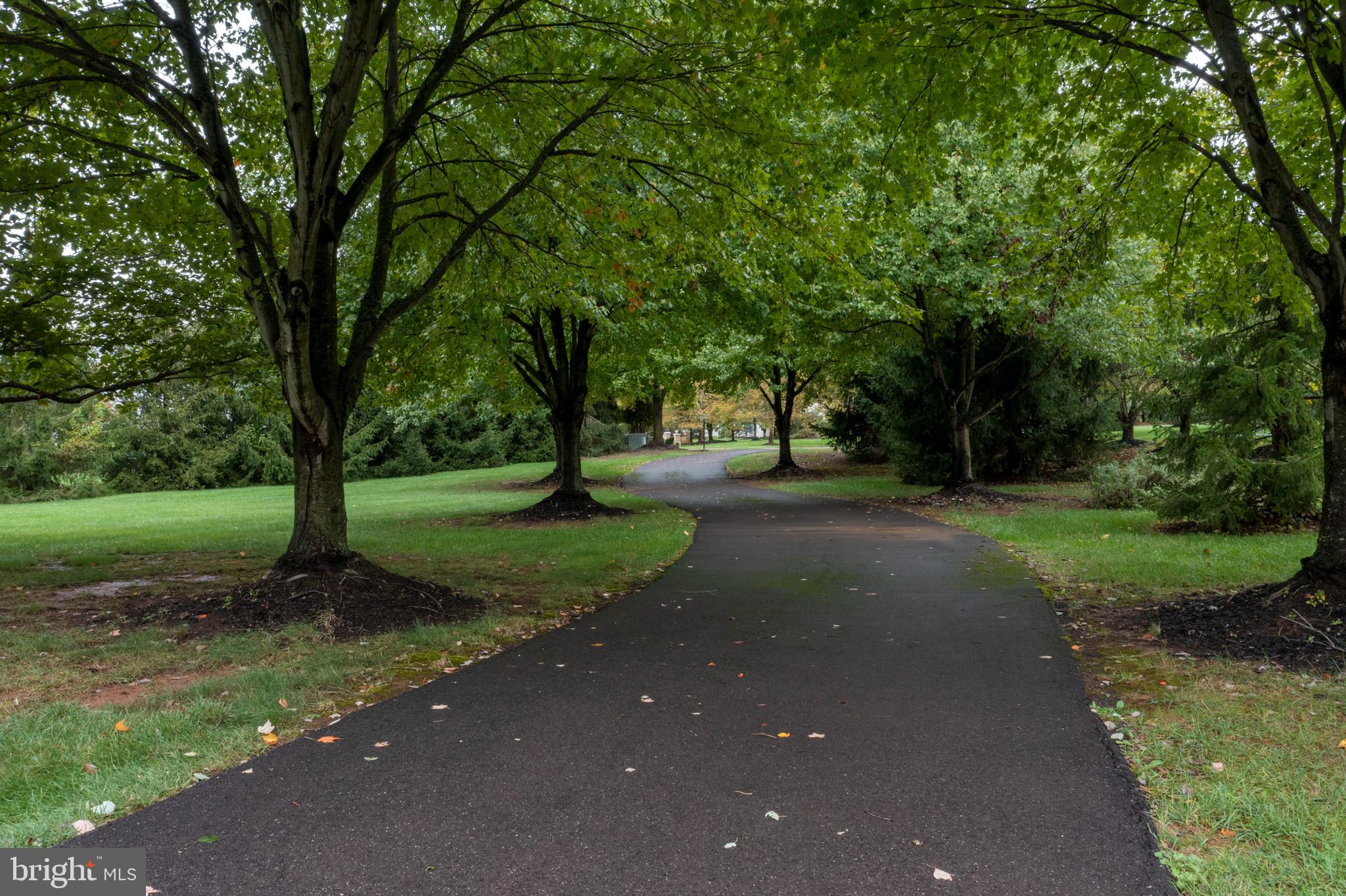 HIDDEN FOREST - Residential