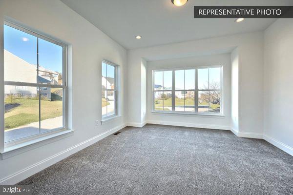 HICKORY POINTE - Residential