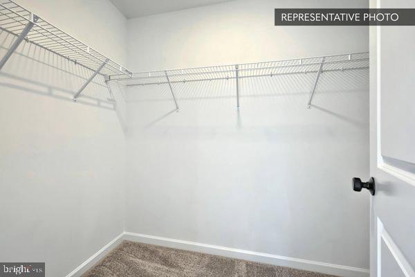 HICKORY POINTE - Residential