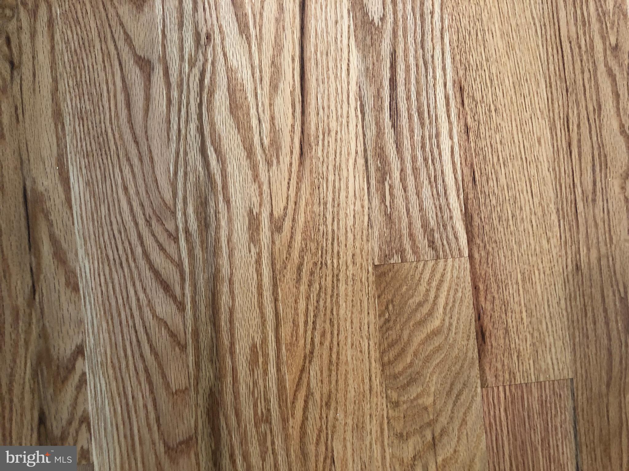 WEBBER SPRINGS - Residential