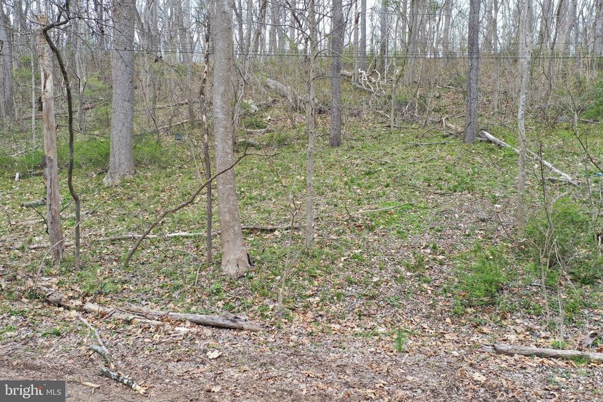 Approximate 1.5+ acres on the Potomac River for sale.  Property owner is willing to pay for PERC test & survey with ratified offer.  Part of the property may be in flood zone.  Buyer needs to do their due diligence.  Potential buyers and/or the buyer agents need to contact listing agent before walking the property.  There may be documents or information that refers to the property being on Forest Dr.  Please consult a real estate attorney, or Berkeley County WV land records for clarification as the same parcel may be referenced as either Forest and/or Saunders Drive..