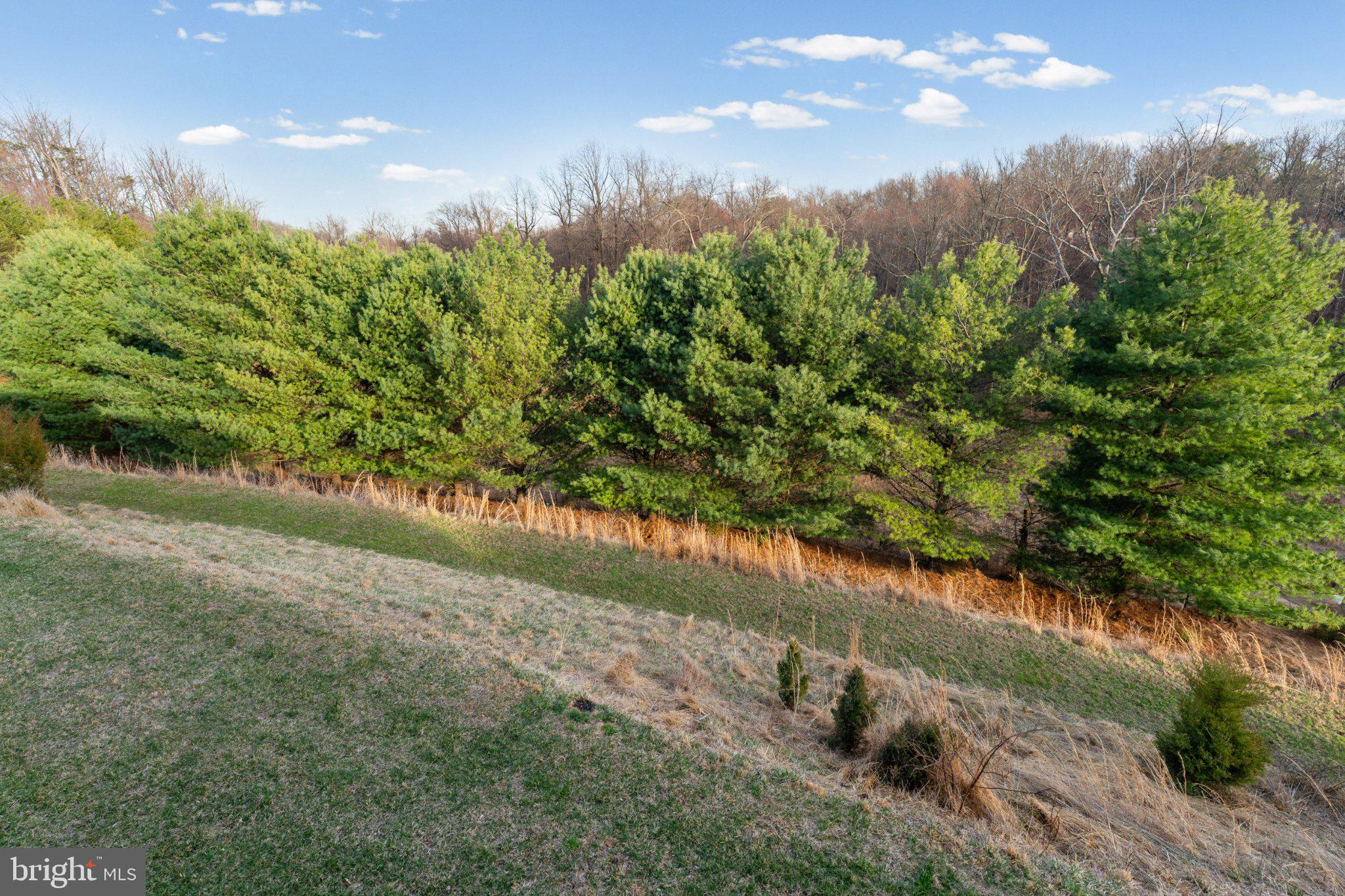 VILLAGES AT WOODHOLME - Residential