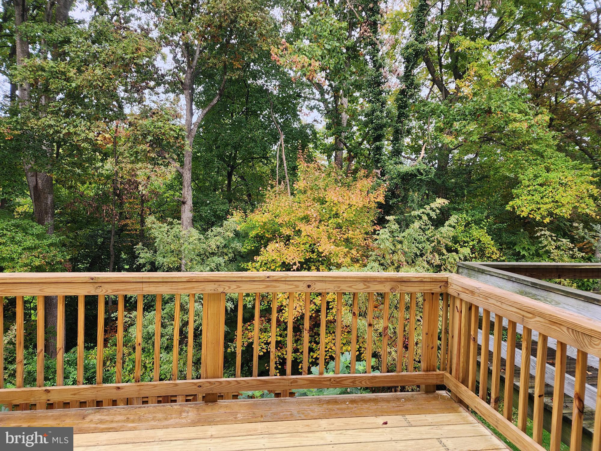 BARTON HILL - Residential Lease