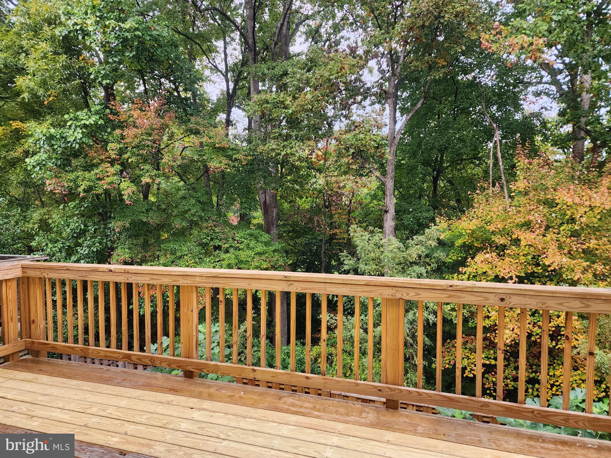 BARTON HILL - Residential Lease