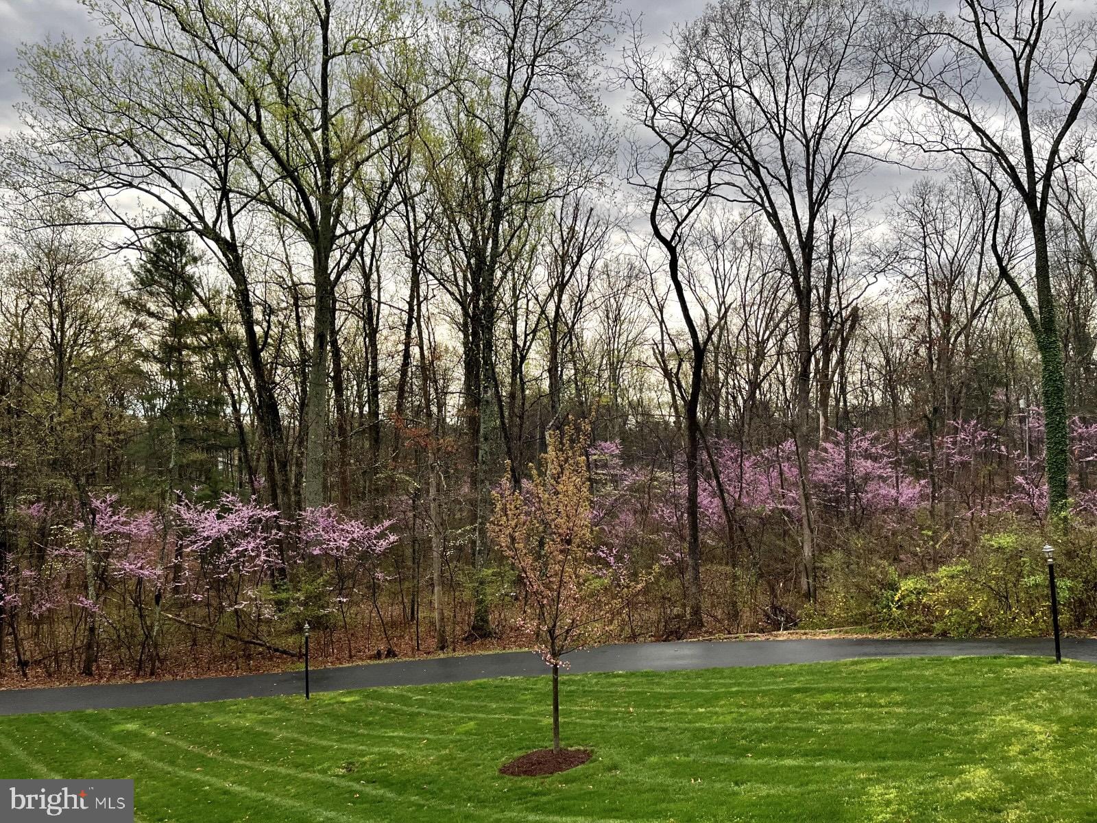 NOKESVILLE - Residential