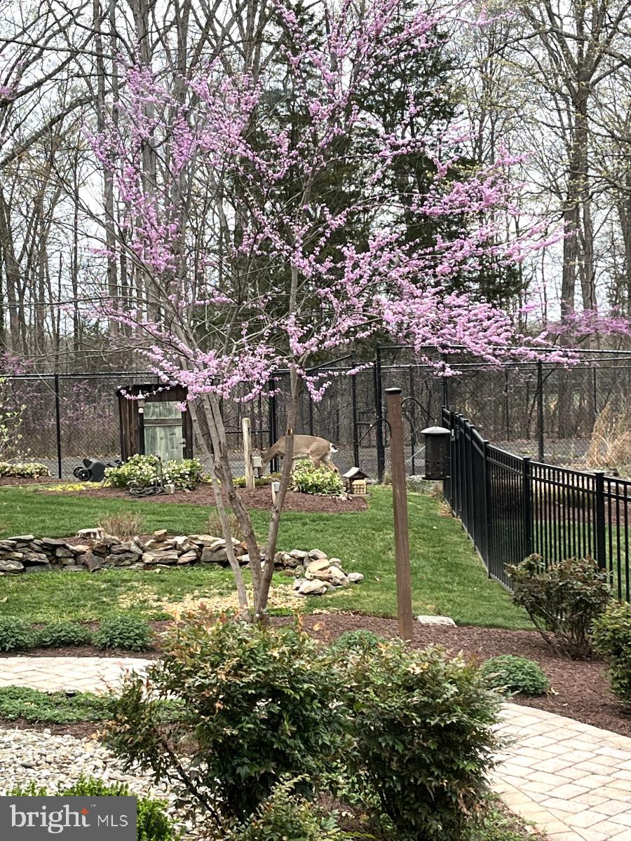 NOKESVILLE - Residential