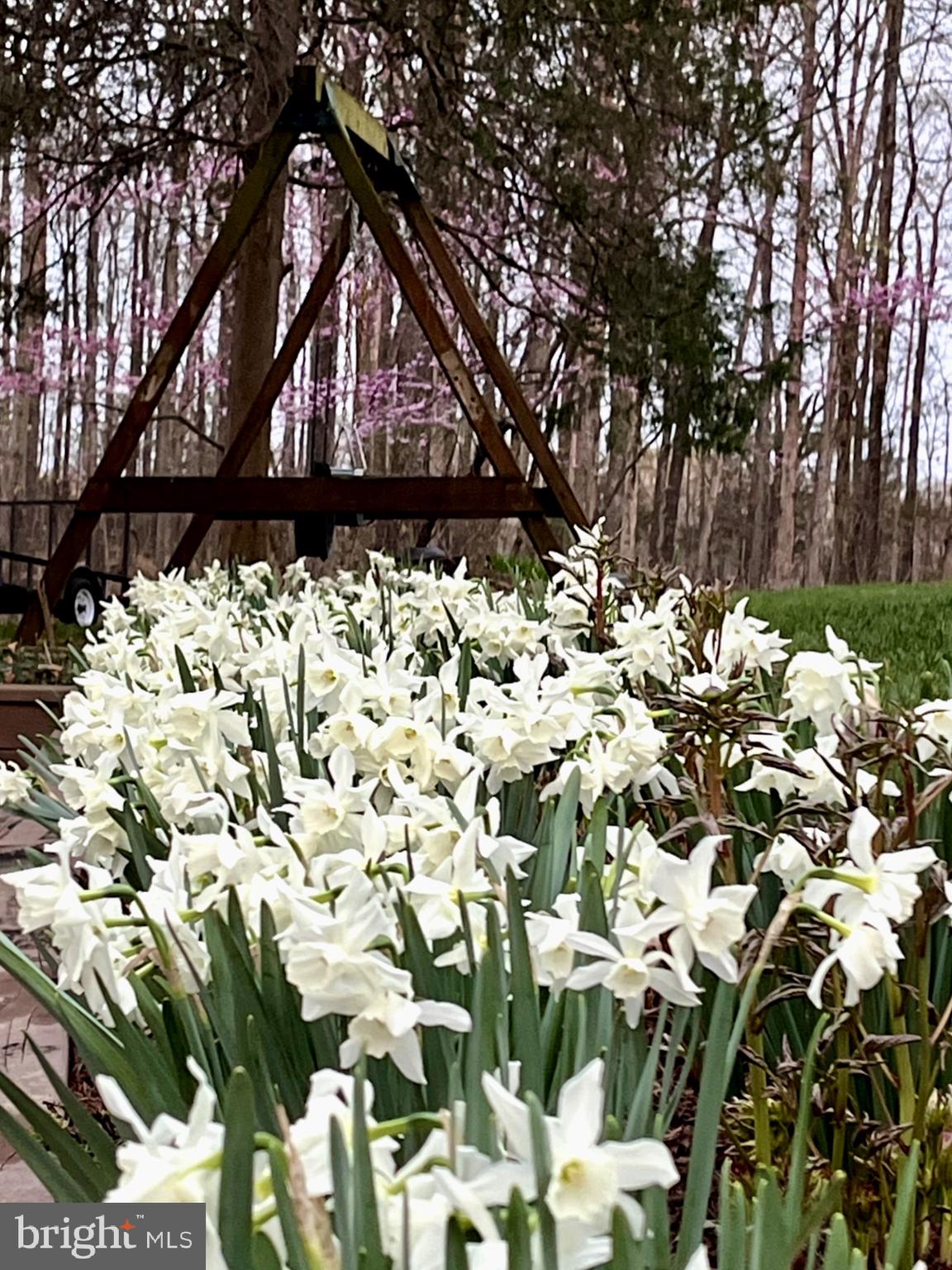 NOKESVILLE - Residential