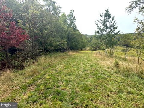 Vacant Land For Sale - 0 Pinnacle Road<br/> KEYSER, WV 26726