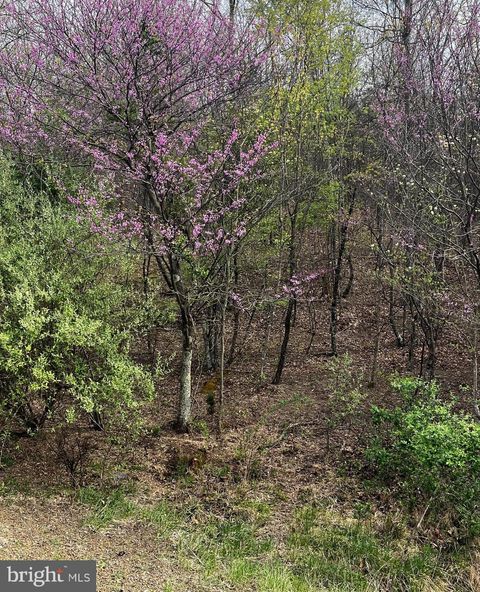 Lot J ANNANDALE DRIVE GERRARDSTOWN WV 25420