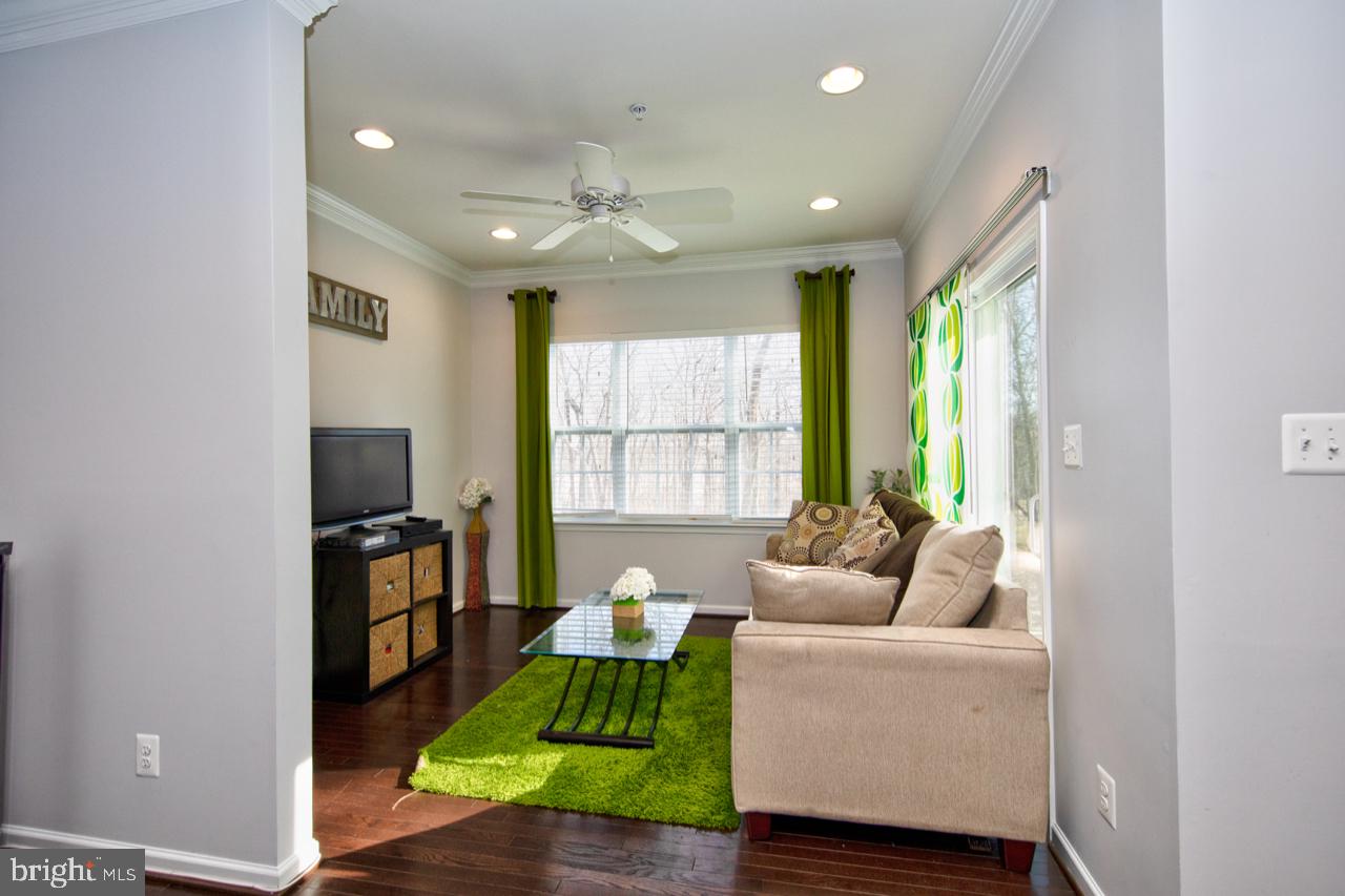 HOLLY WOODS - Residential